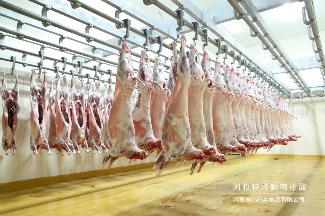 如何確保羊肉在冷鏈運輸中保持新鮮？